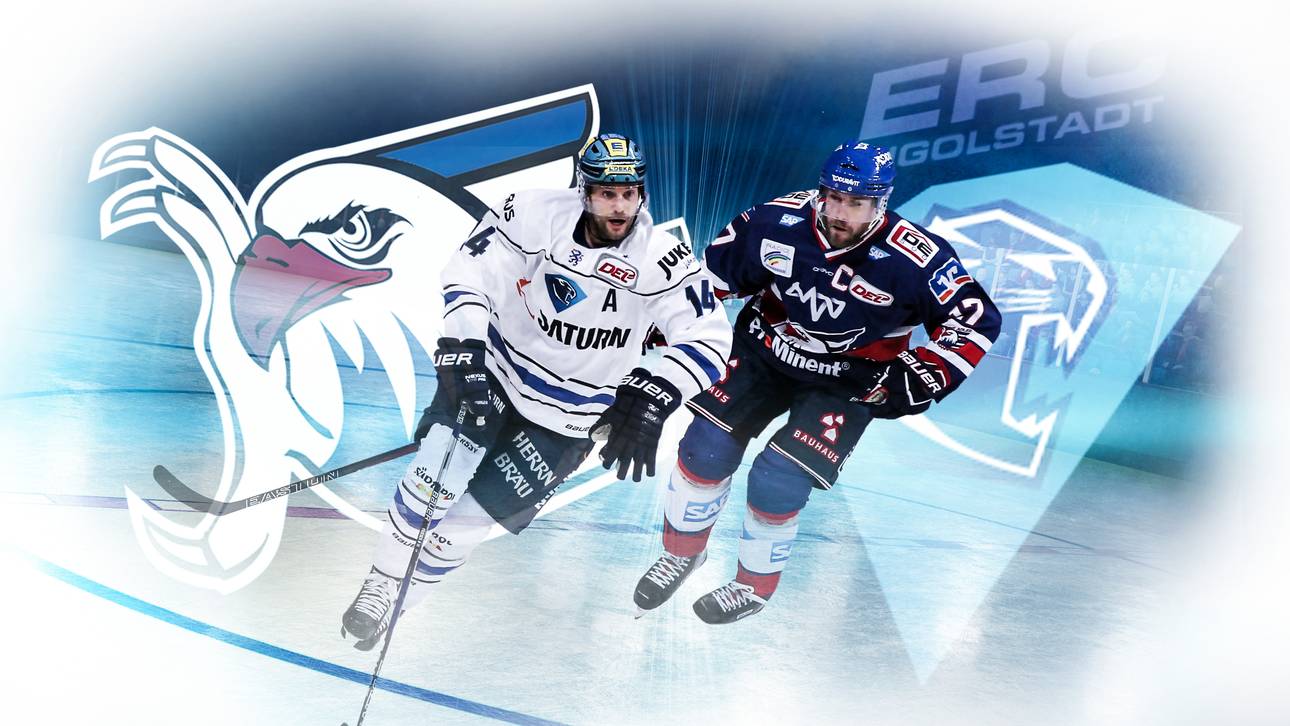 Adler wollen gegen ERC nachlegen