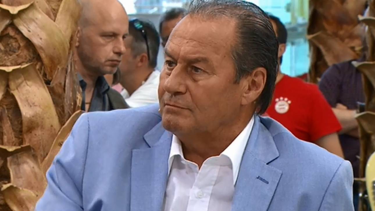 Stevens: Stöger ein Alibi für BVB