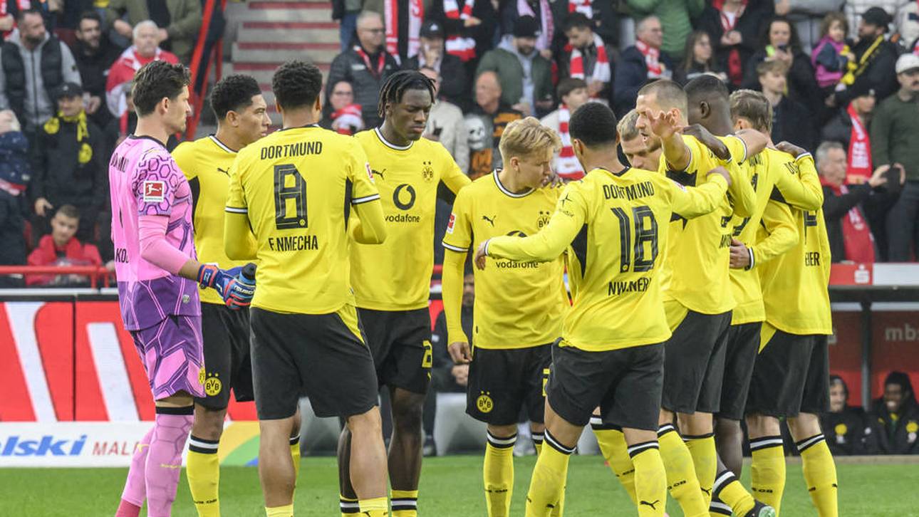 Champions League heute: Sabah – BVB LIVE im TV, Liveticker & Livestream