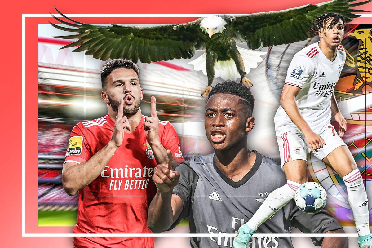 Die beste Talentschmiede der Welt?