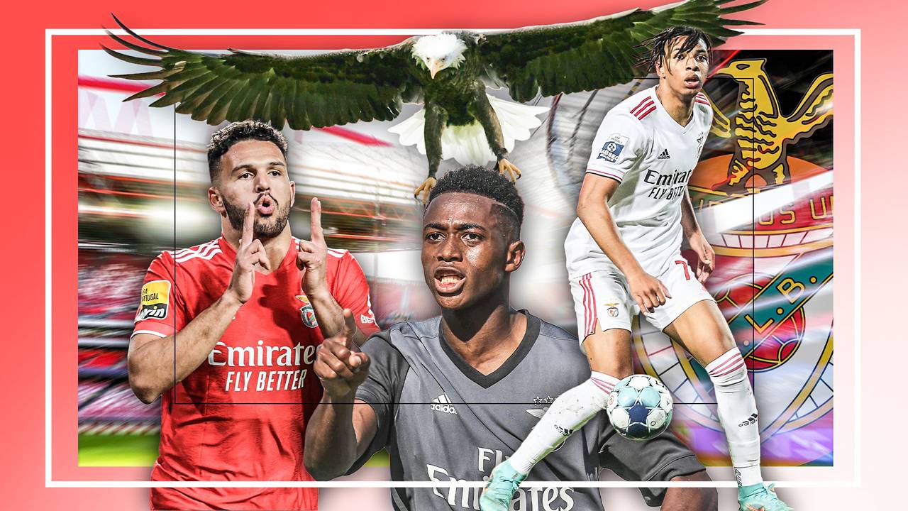 Youth-League-Sieger Benfica - Die beste Akademie Europas?