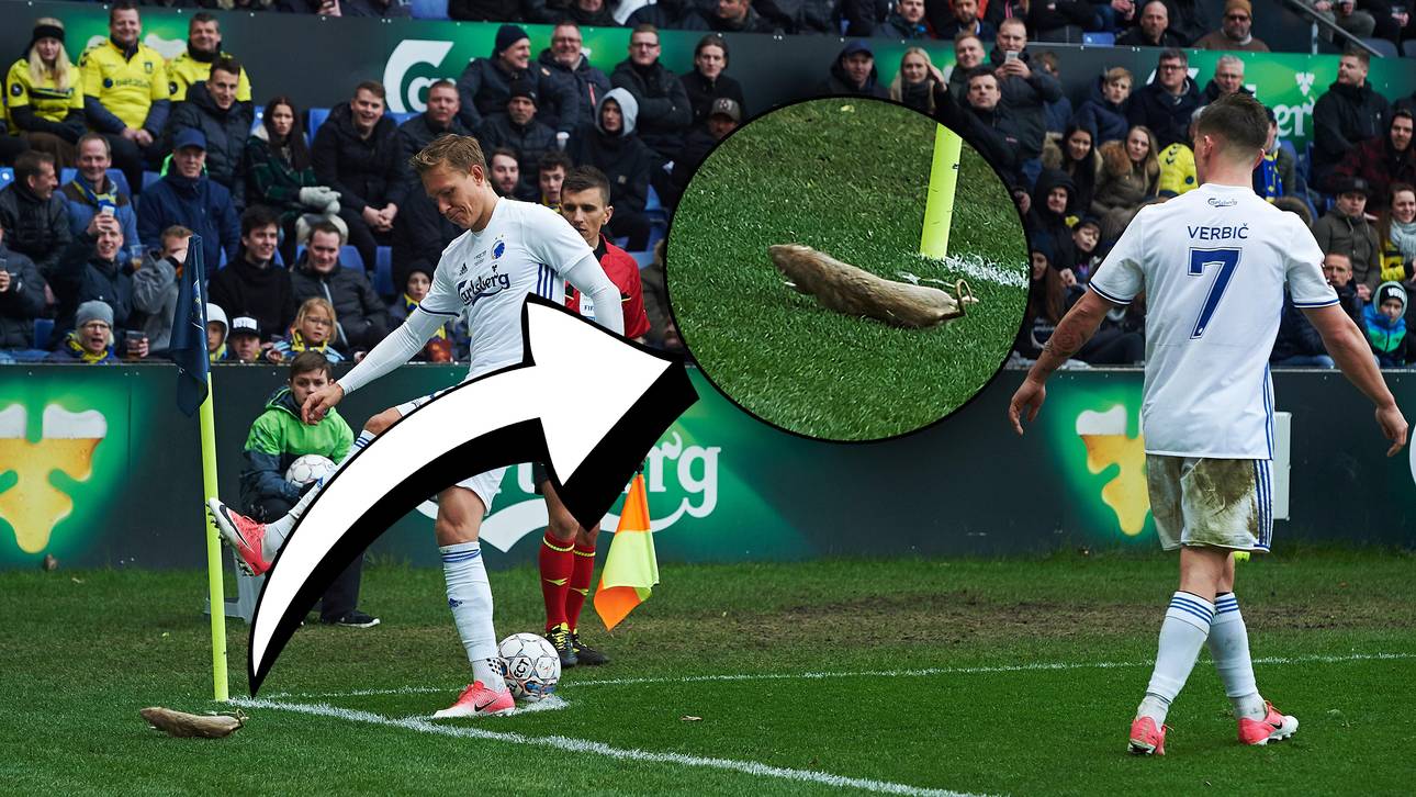 Fans bewerfen Spieler mit Ratten