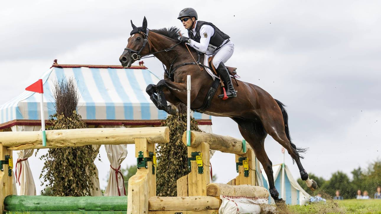 Kritik wächst: Erneut tote Pferde