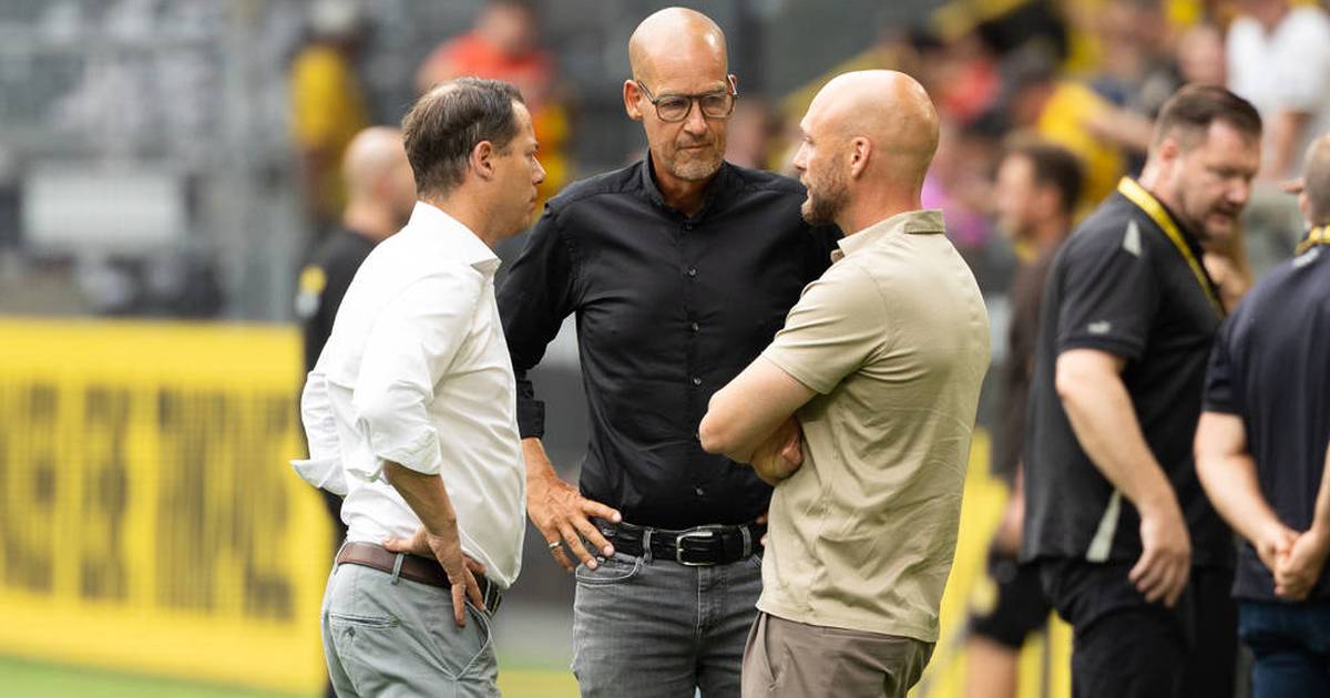 BVB posts a huge million-euro loss!