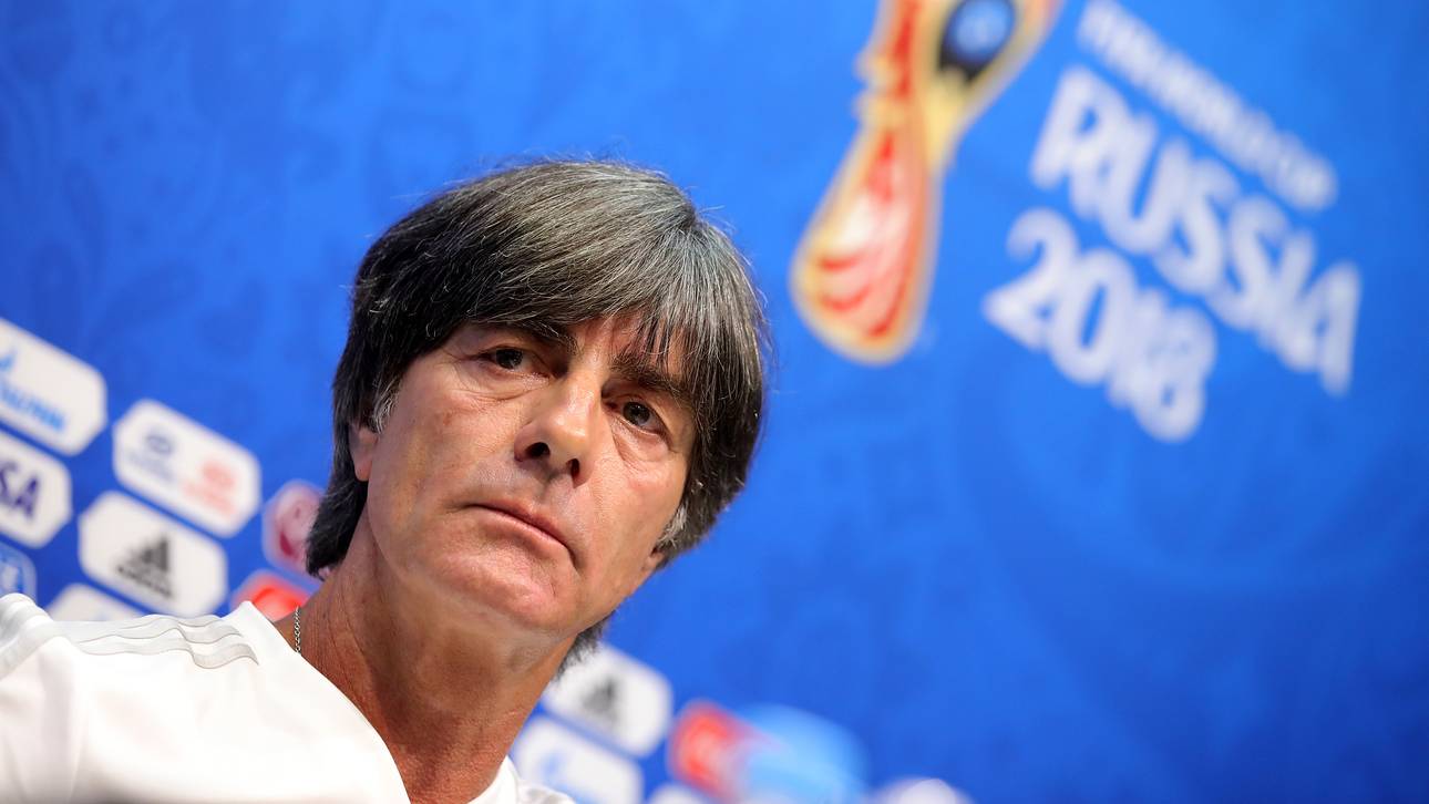 Spielen Özil und Rudy? Das sagt Löw