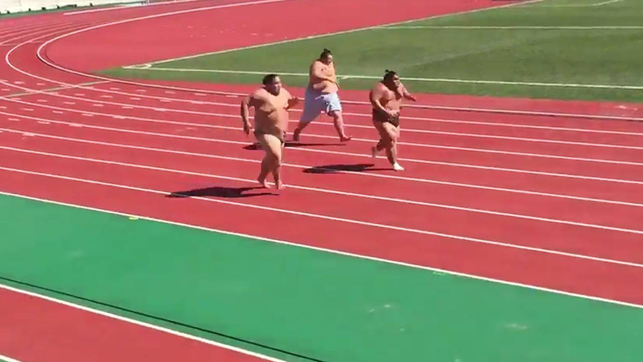 Sumo-Ringer liefern sich Wettrennen