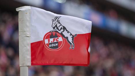 Der 1.FC Köln hat ein weiteres Zeichen für Toleranz gesetzt 