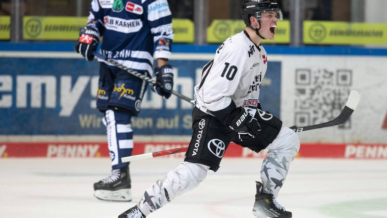 Haie erobern Spitze zurück