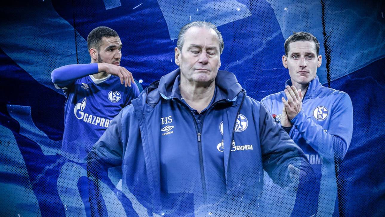 Brennpunkte der Liga: FC Schalke 04