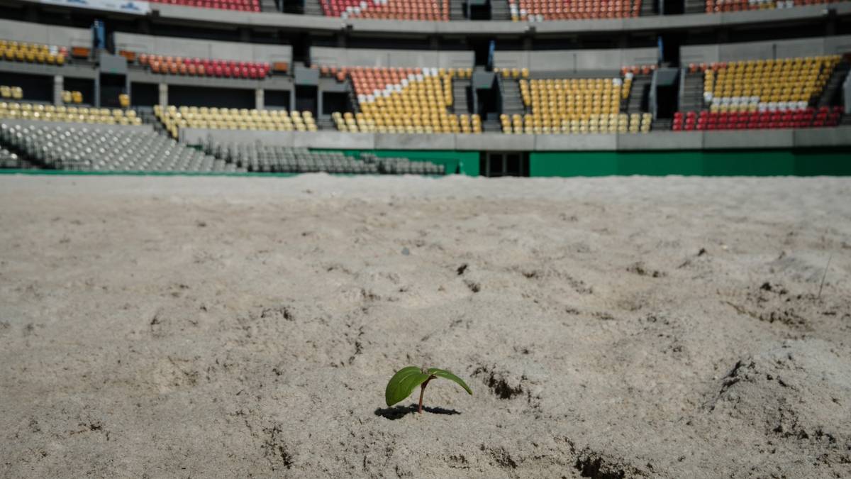 In der Tennis-Arena sollte noch einmal Beachvolleyball gespielt werden, langsam übernimmt hier jedoch ebenfalls die Natur die Vormacht
