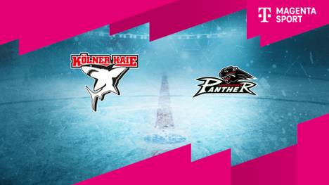 Kölner Haie - Augsburger Panther: Tore und Highlights | PENNY DEL