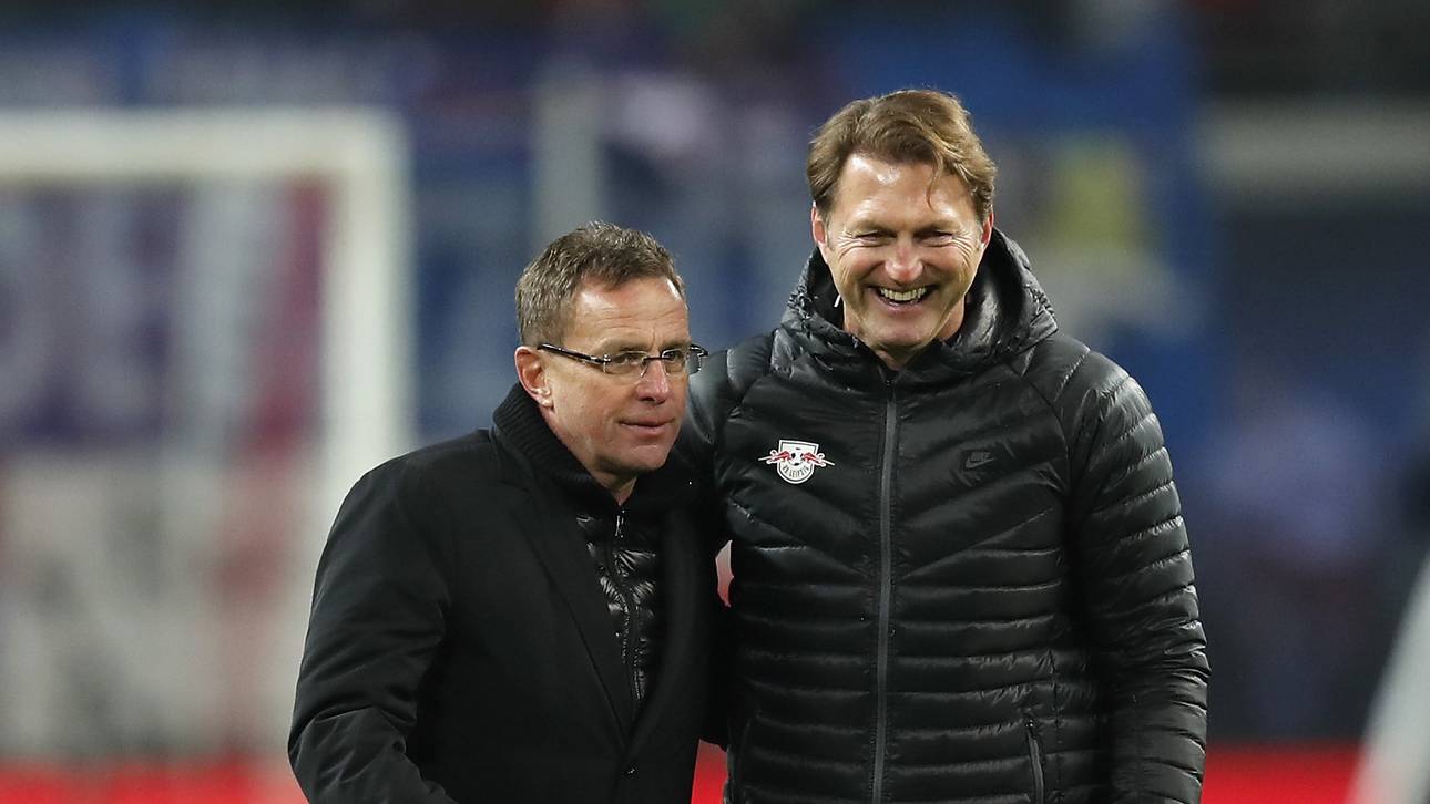 Hasenhüttl: Haben einen klaren Plan