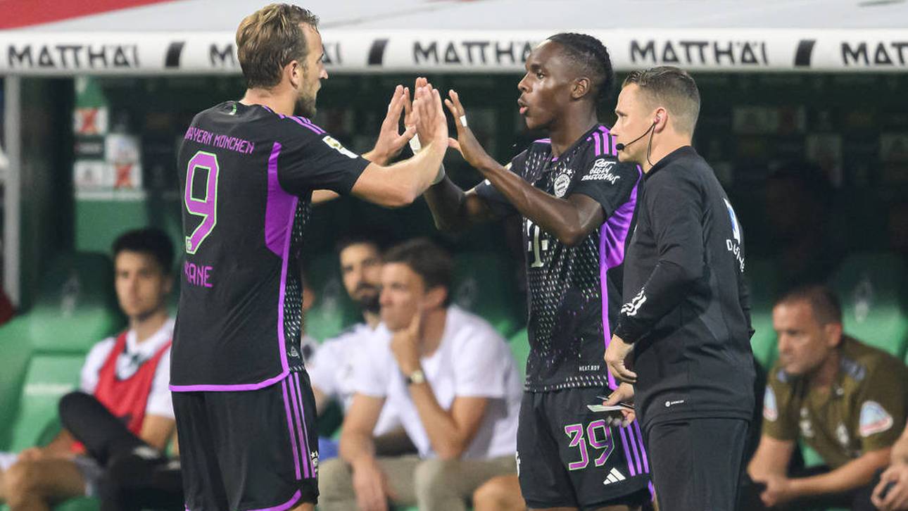 Wegen Kane: Effenberg mit Tel-These