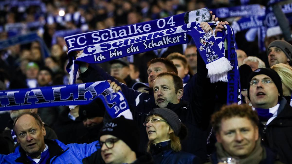 PLATZ 16 (14) - FC SCHALKE 04: 230,2 Millionen Euro (2015/16: 224,5 Millionen Euro)