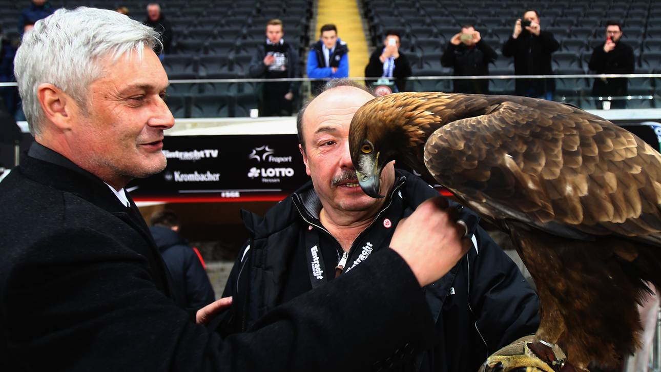 Twitter sucht Partner für Diva am Main