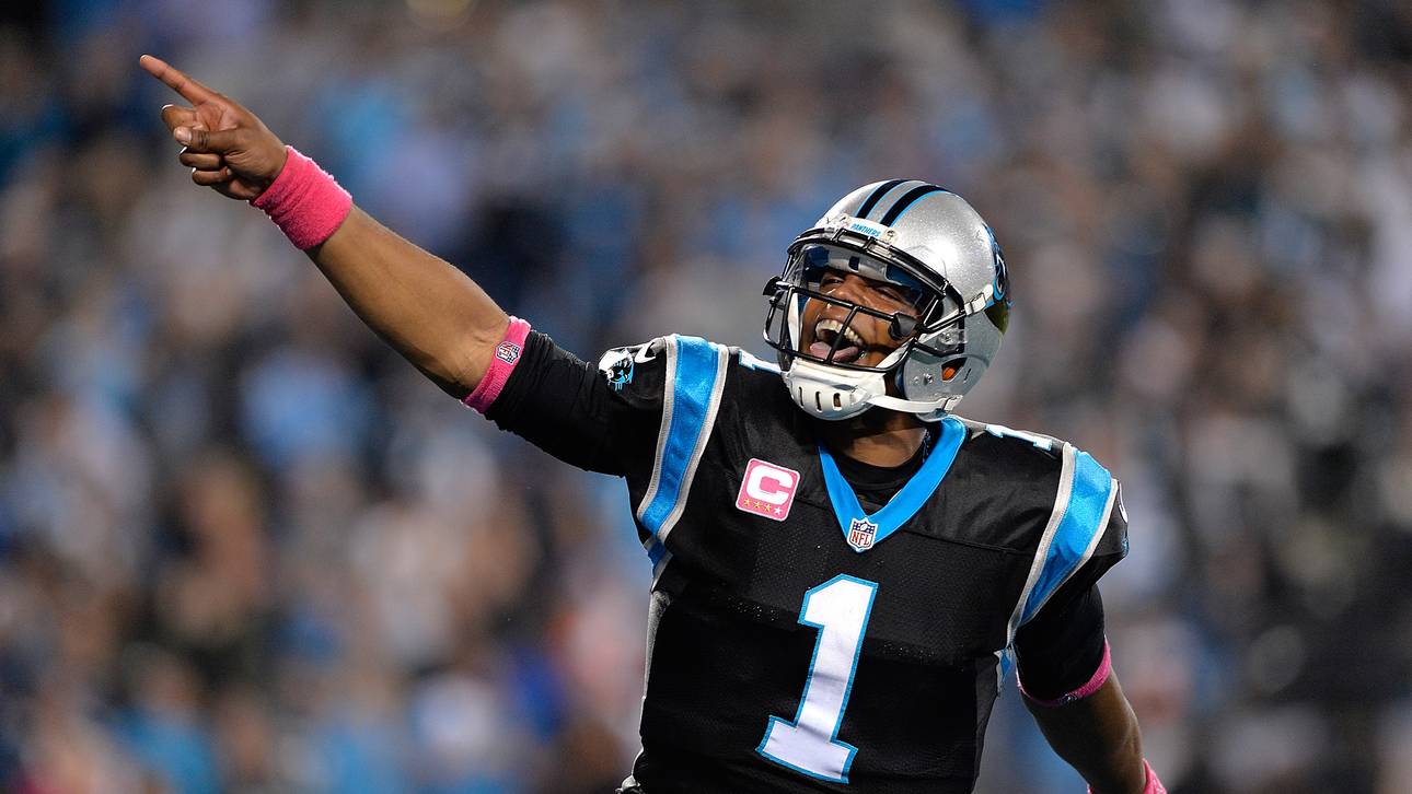 Panthers machen Rekordstart perfekt