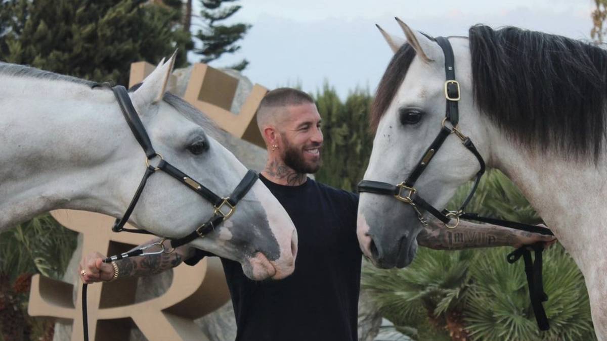 Sergio Ramos ist neben seiner Leidenschaft zum Fußball auch begeisterter Pferde-Besitzer