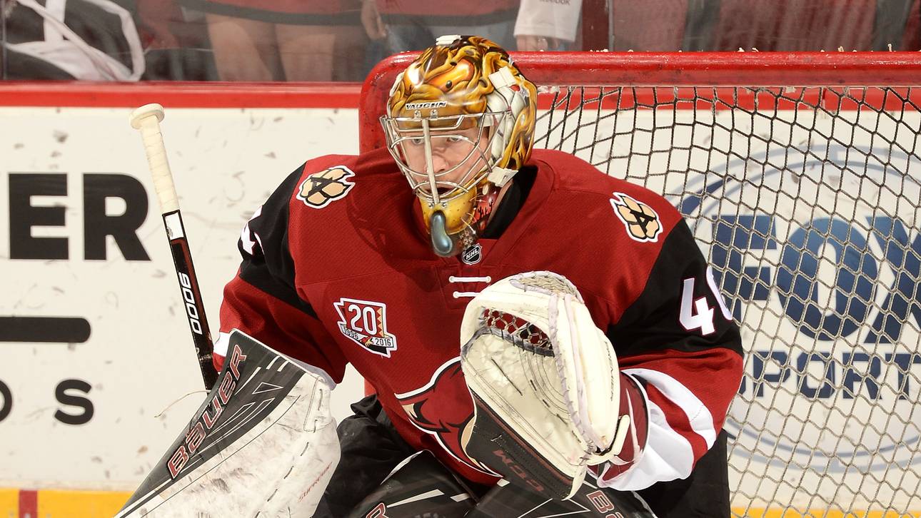 Haie verpflichten  Ex-NHL-Torwart