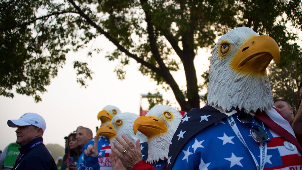 ... so wie diese Gruppe Weißkopfadler