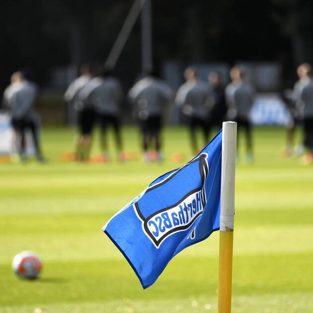 Hertha BSC prüft nach den Vorfällen auf seinem Trainingsplatz vom vergangenen Samstag rechtliche Schritte gegen Teile der organisierten Fanszene.