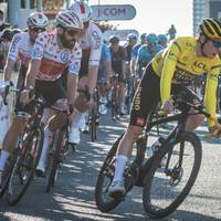 Nächste Tour de France ohne Roglic