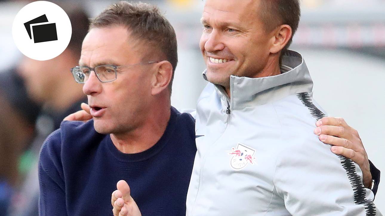 Co-Trainer: Wer will Chef werden?