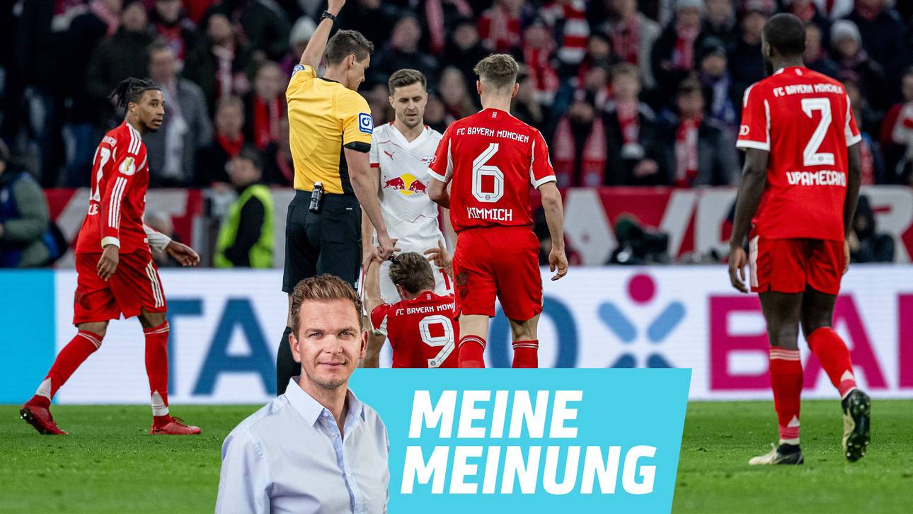 Was Schiris über den VAR denken