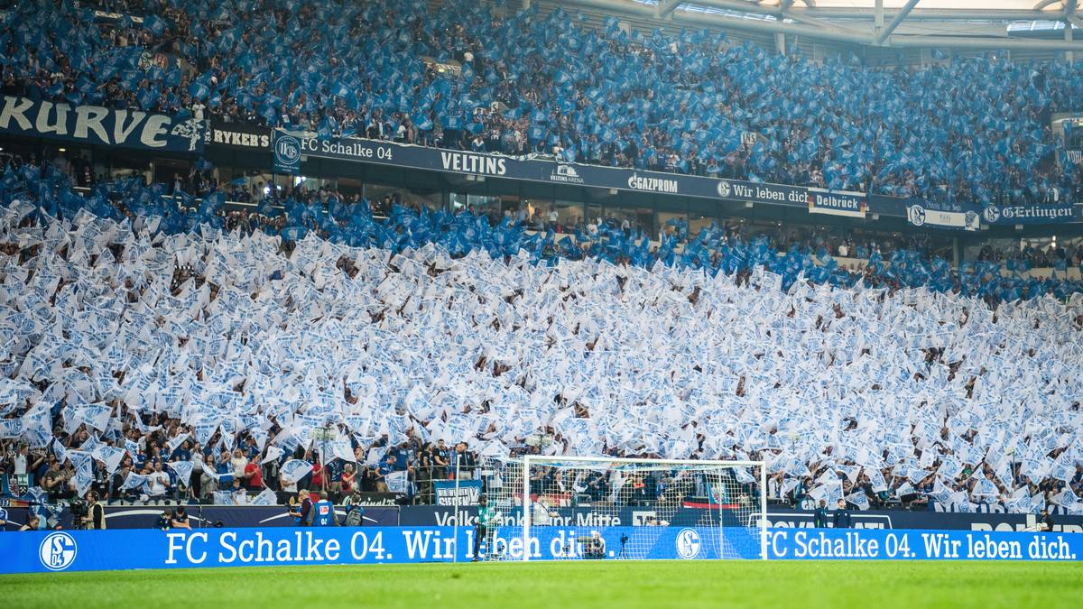 9. PLATZ - SCHALKE 04: 3,1 Prozent 