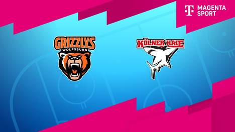 Grizzlys Wolfsburg - Kölner Haie: Tore und Highlights | PENNY DEL