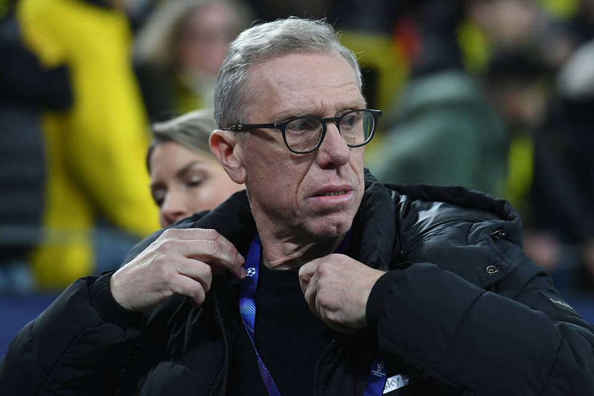 Stöger vor brisantem Wechsel