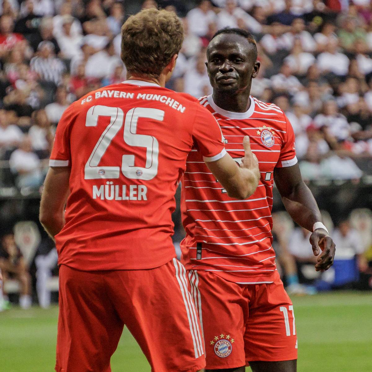 Der Mannschaftsrat des FC Bayern für die Saison 2022/23 steht. Sadio Mané zählt nicht dazu. Für Robert Lewandowski rückt ein Deutscher in den offiziellen Leader-Kreis auf.