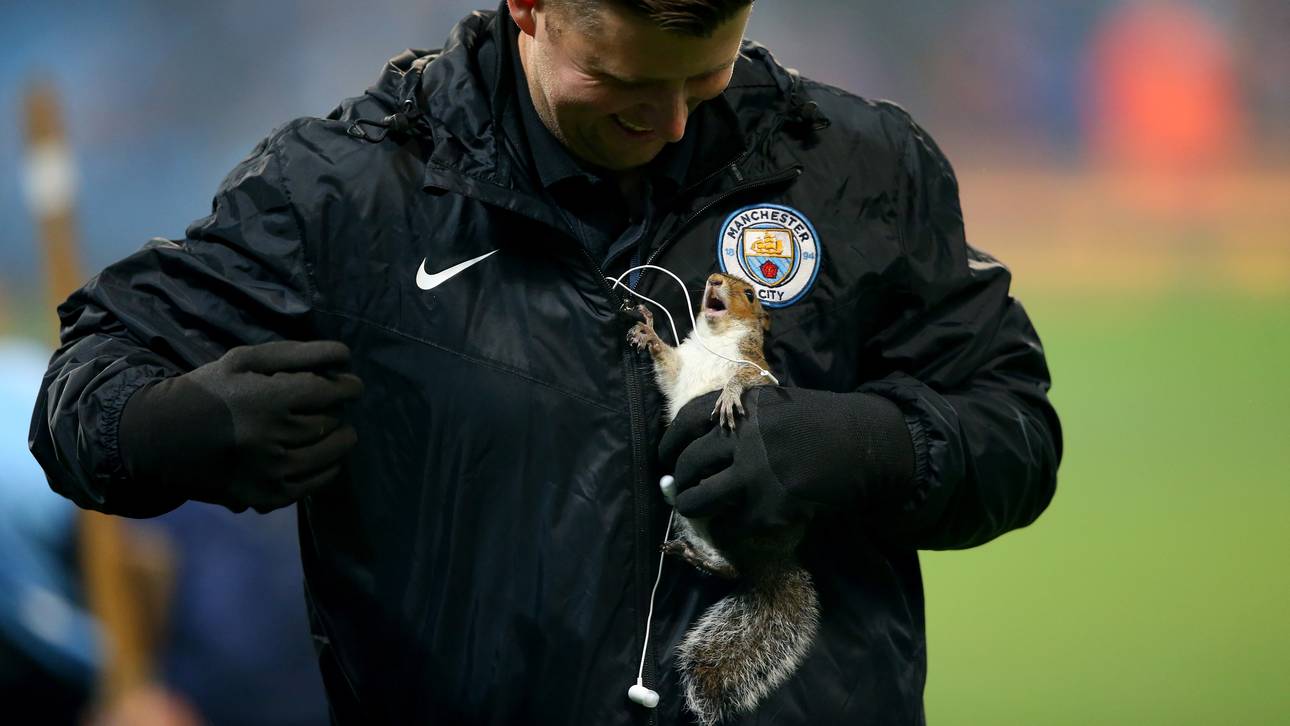 Video: Tierischer Flitzer bei City