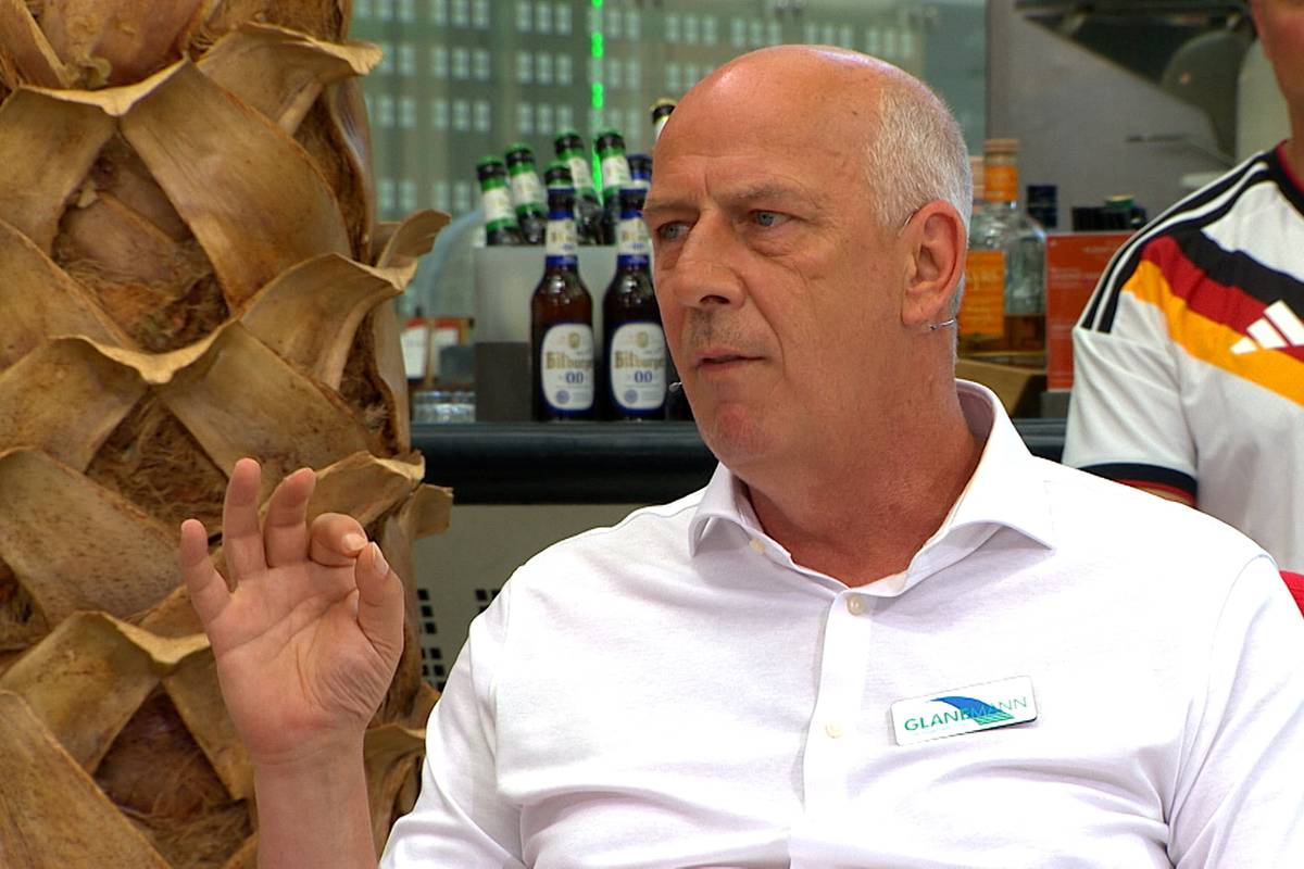WM 1994? "Waren verdammt dazu, Weltmeister zu werden"