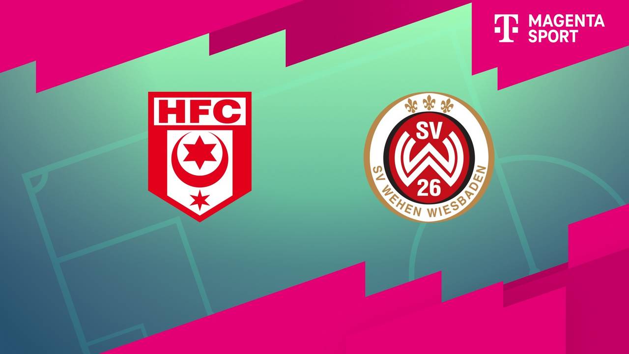 Hallescher FC - SV Wehen Wiesbaden (Highlights)