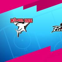 Kölner Haie - Augsburger Panther (Highlights)