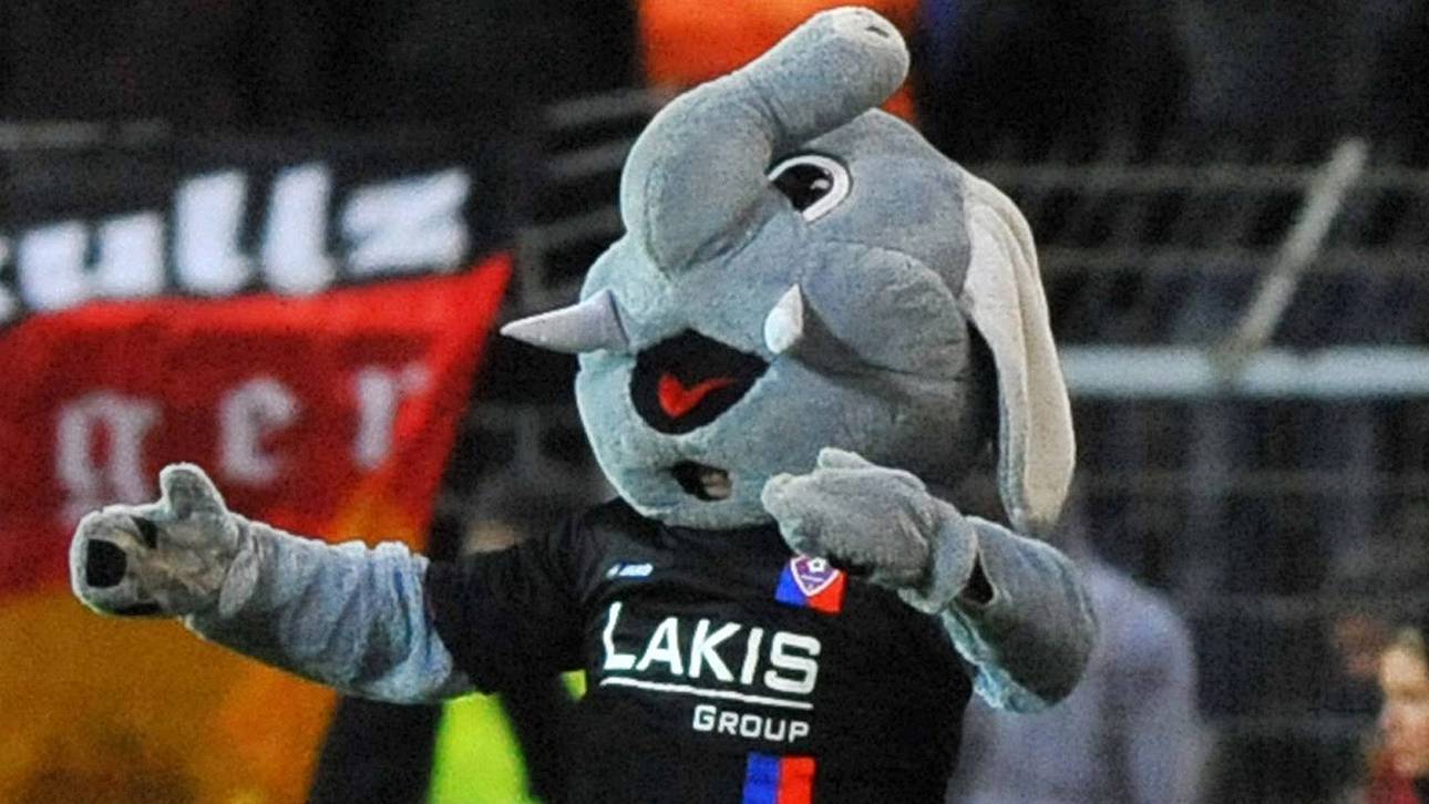 Neuer Job für den „Grotifant“