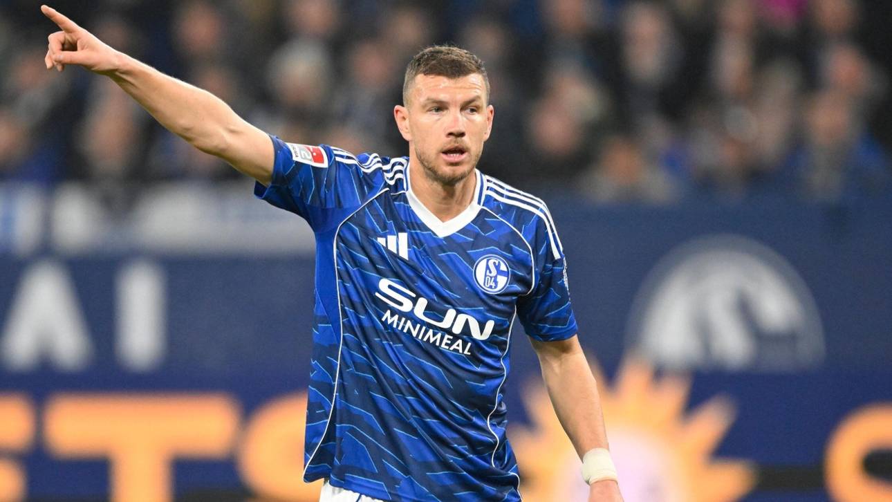 Greuther Fürth vs FC Schalke 04 Prognosen, Wett Tipps und Quoten | 2. Bundesliga am 28.02.2026