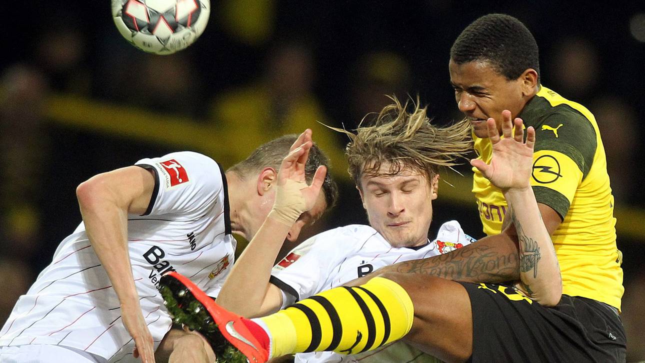 Der schwarzgelbe Krisenlöser