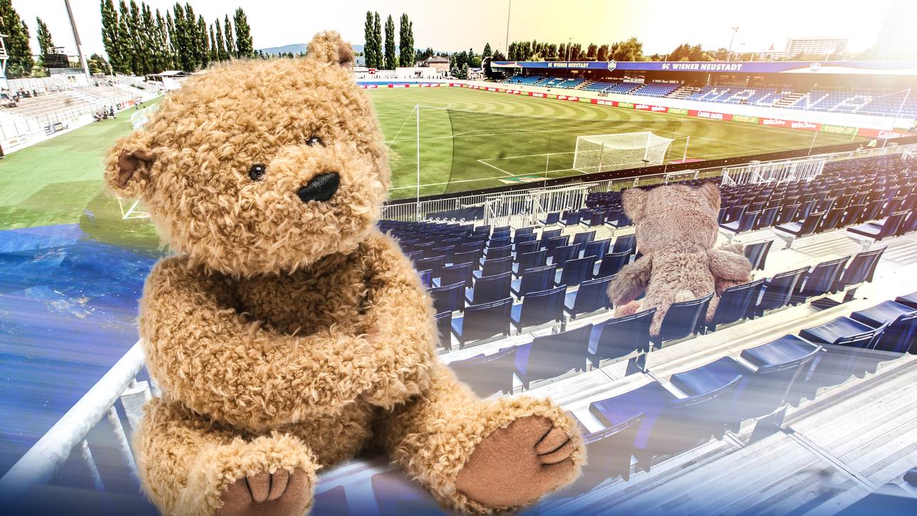 Witziger Stadionname in Österreich