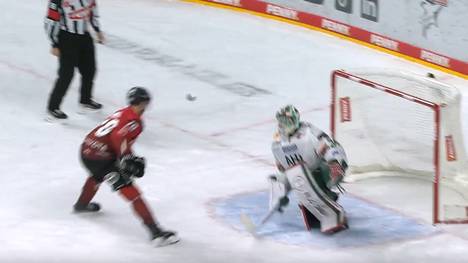 Kölner Haie - Augsburger Panther: Tore und Highlights | PENNY DEL