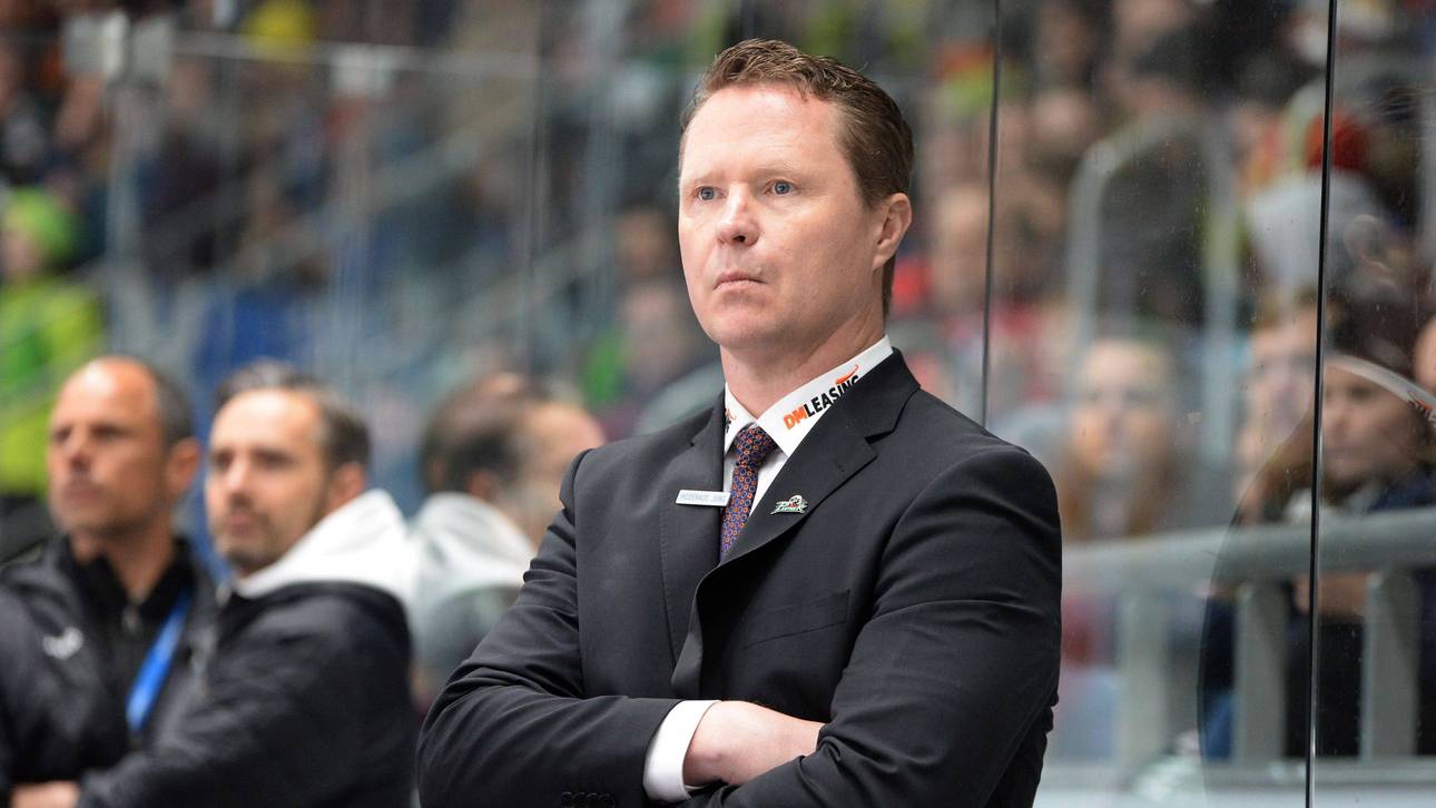 Panther verlängern mit Cheftrainer