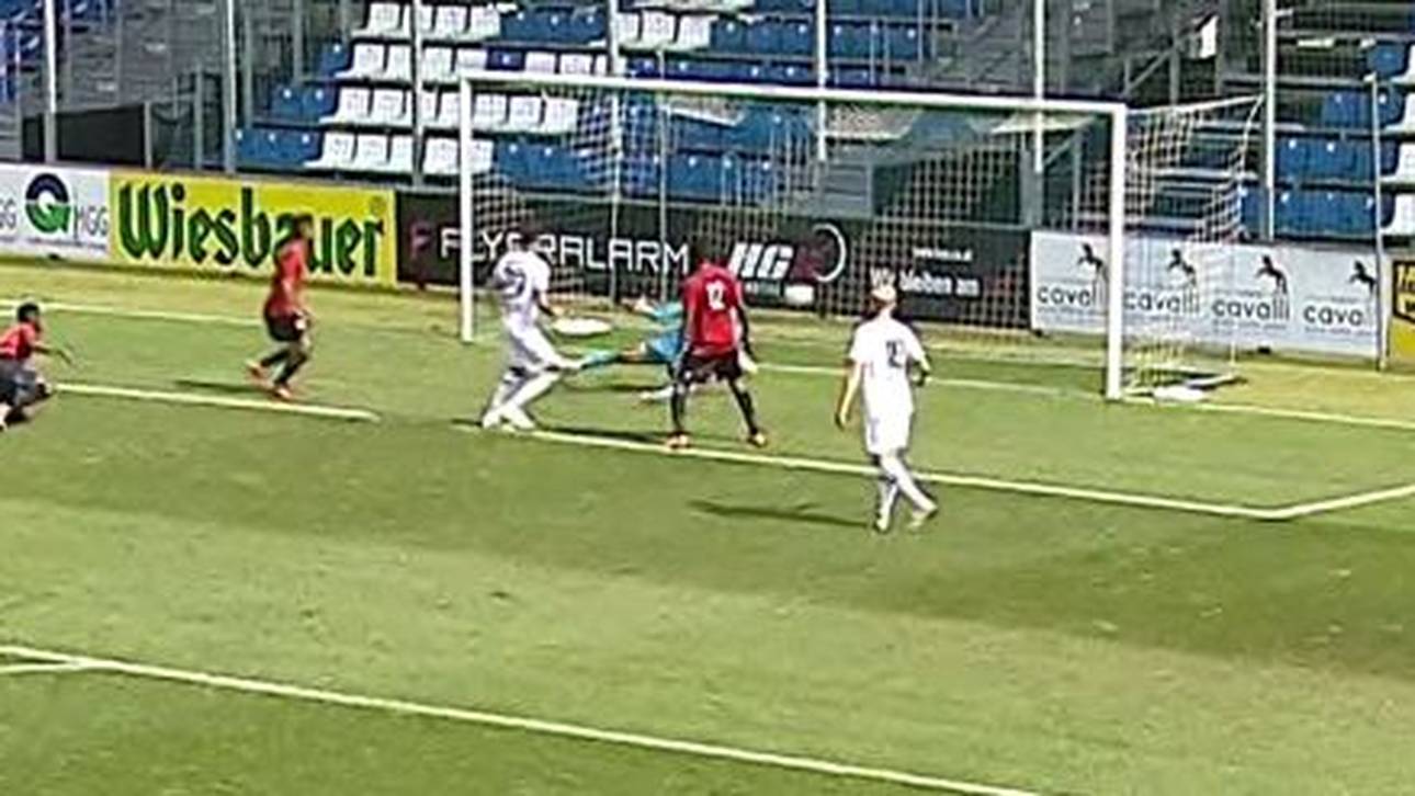 Leverkusen und Schalke siegen