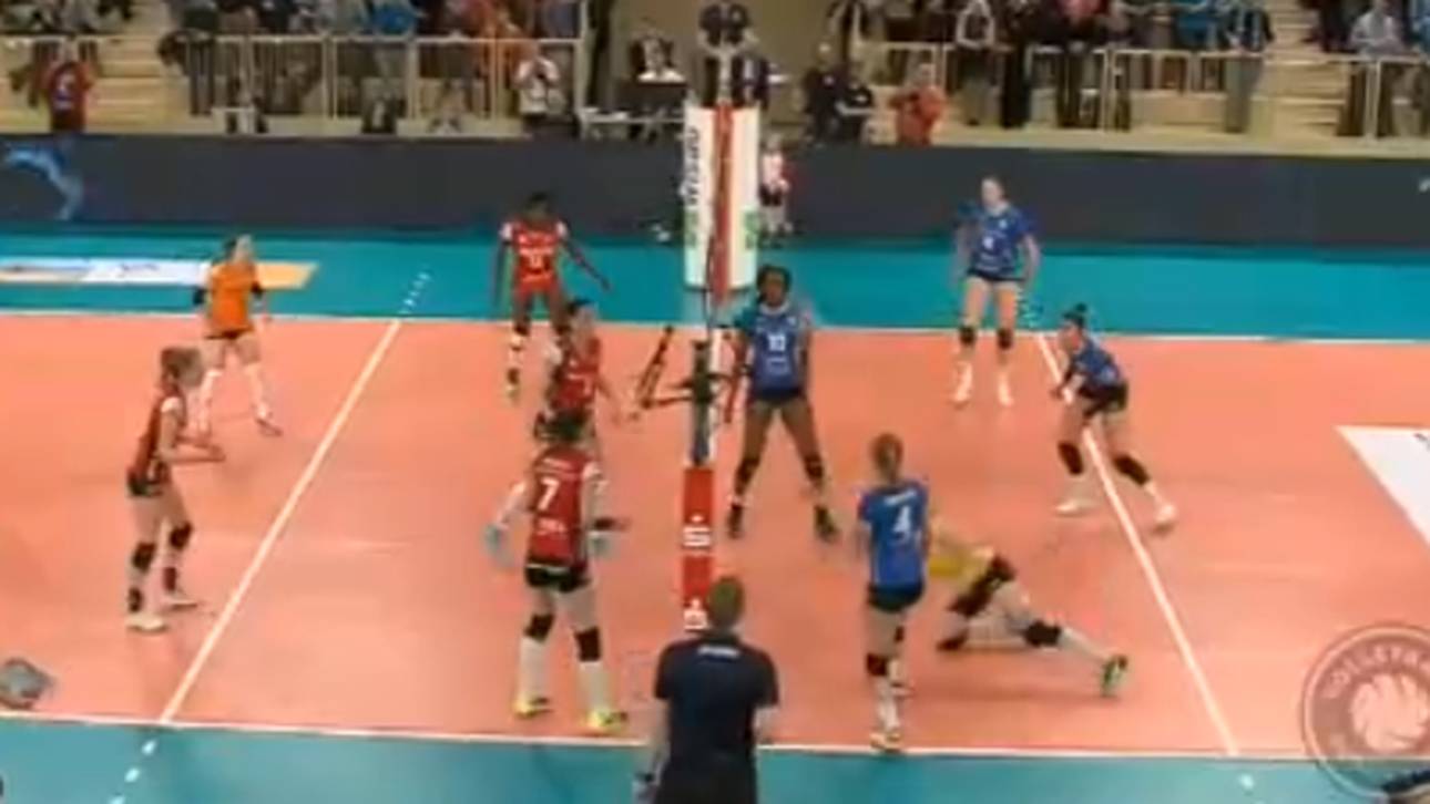 Stuttgarts Siegesserie hält an