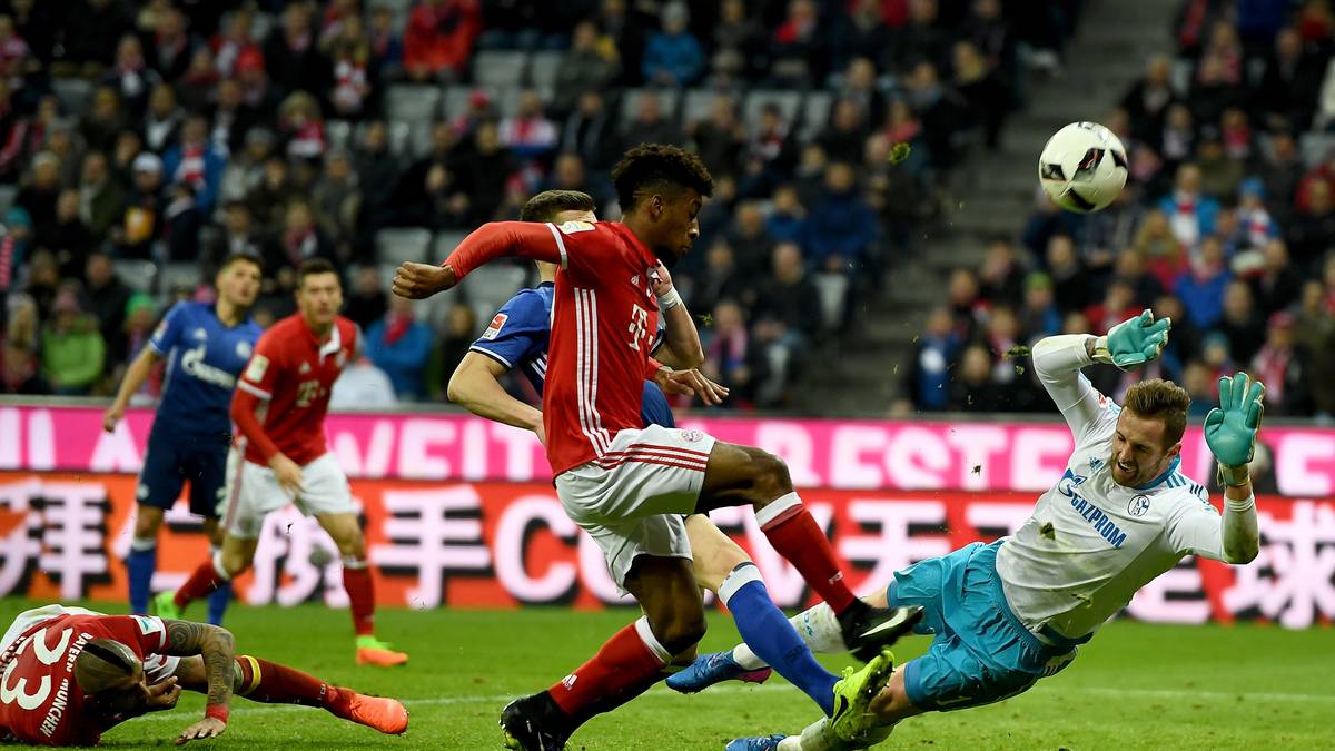 Ralf Fährmann (Schalke): Wenn Glykos der Mann im Getümmel ist, ist Fährmann der Turm in der Schlacht. Trieb zuletzt die Bayern zur Verzweiflung. Kann über die Bilanz seines Torwartkollegen nur lachen. Wurde international überhaupt erst einmal bezwungen in dieser Spielzeit. Das sollen die stürmischen Griechen erst mal ändern. Ist sich jedoch gewiss: "Das wird ein absoluter Hexenkessel. Die Stimmung wird kochen!" 