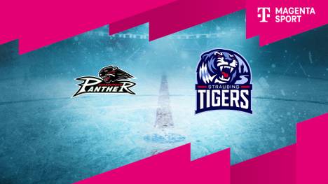 Augsburger Panther - Straubing Tigers: Tore und Highlights | PENNY DEL