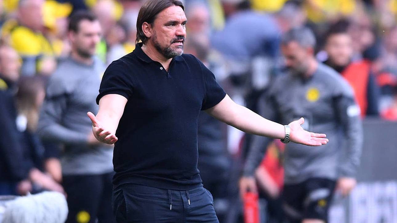 Sollte Gladbach Farke feuern?