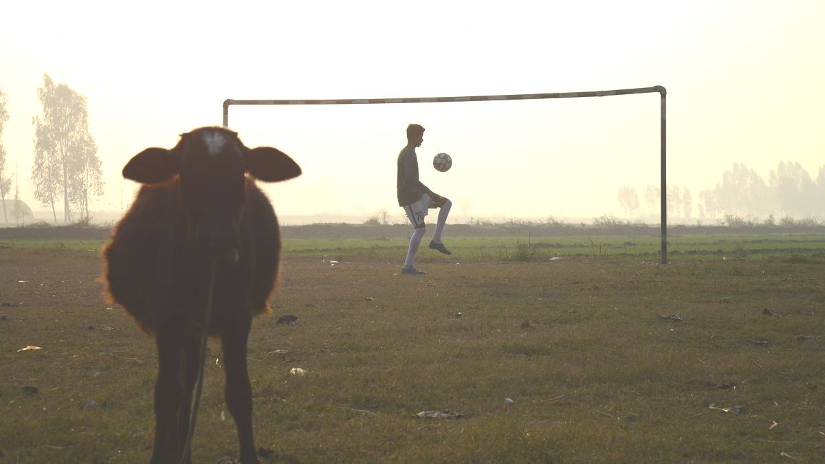 Ja, Sie haben richtig gelesen - eine Kuh! Henderson ist nämlich auf der Farm seiner Eltern mit einer Kuh zusammengestoßen, berichtet der "Mirror" - und hat sich demnach an der Schulter schwer verletzt