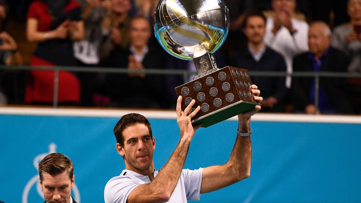 2017 gelingt del Potro mit der Titelverteidigung in Schweden sein 20. Turniersieg. Zudem zieht er in Wimbledon erstmals seit 2013 wieder in ein Grand-Slam-Halbfinale ein. Dadurch schiebt er sich in der Weltrangliste am Ende des Jahres wieder bis auf Platz elf vor