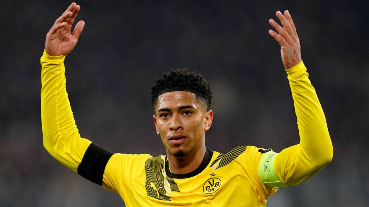 Steile These zu Bellingham