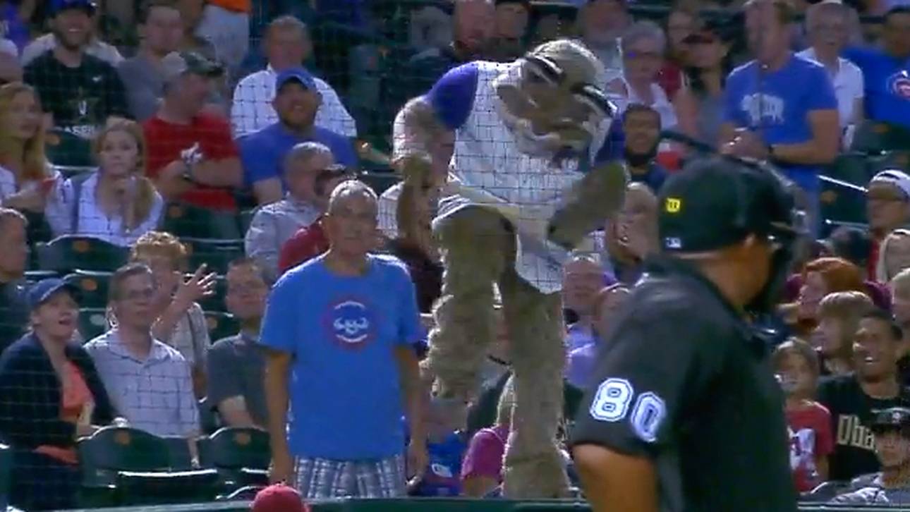 Schläger fliegt – Maskottchen rastet aus